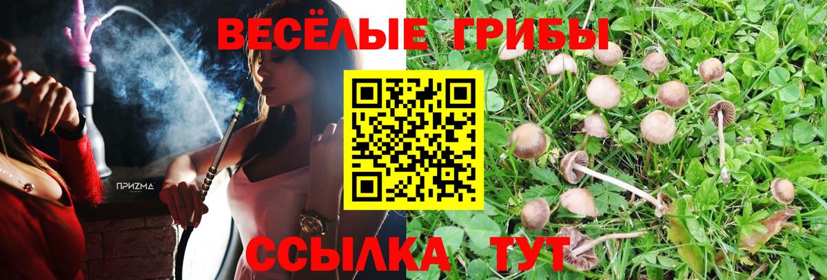 Псилоцибиновые грибы Cubensis  Вход с VPN  Ливны 